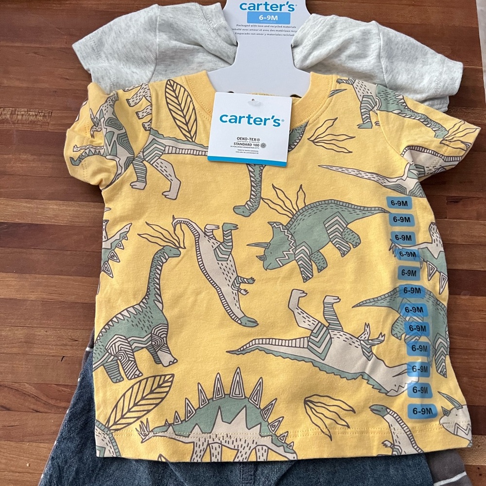 Carter's 4-Piece Dinosaur Tee & Shorts Set